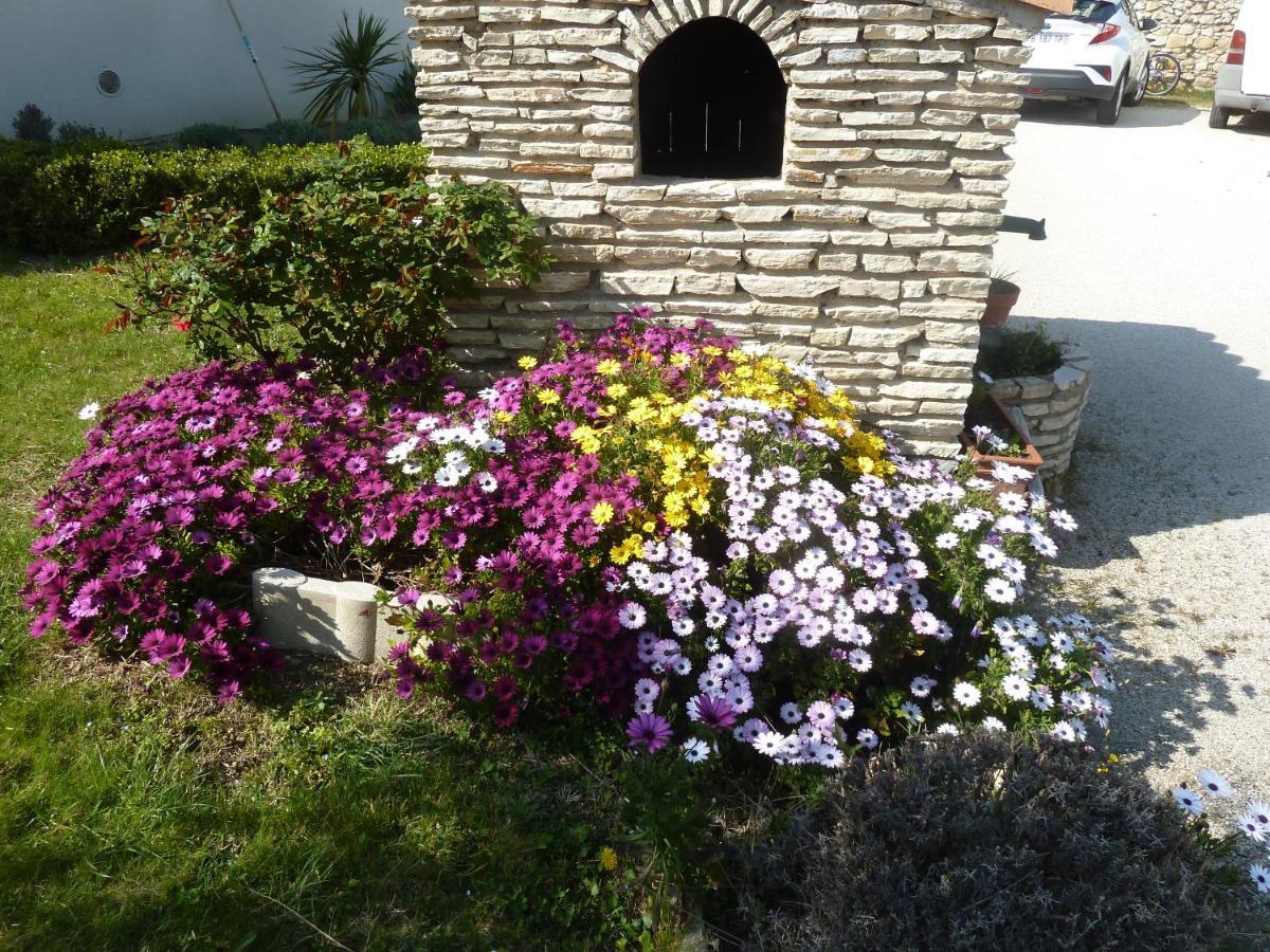 Le Gite De Lolivier En Provence Aramon Εξωτερικό φωτογραφία