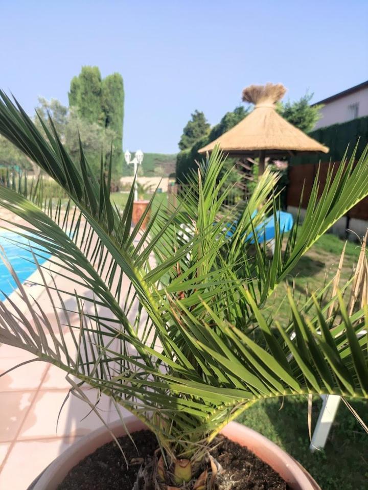 Le Gite De Lolivier En Provence Aramon Εξωτερικό φωτογραφία